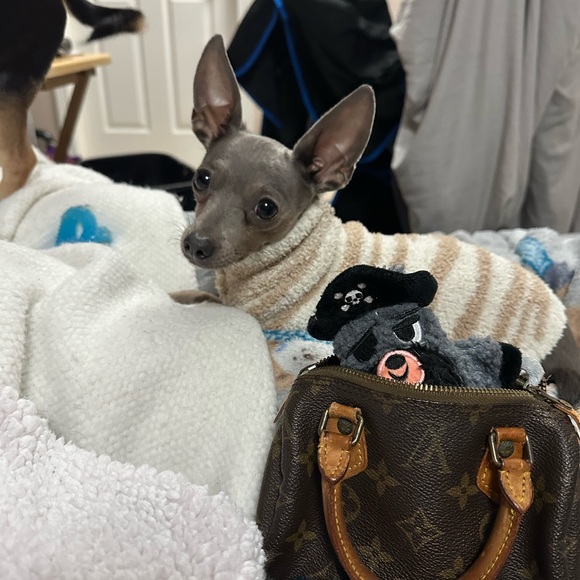 Nano Speedy Louis Vuitton - Picture 2 of 3